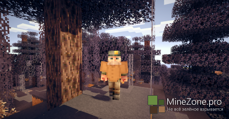 [1.5.2]WingCraft Mod