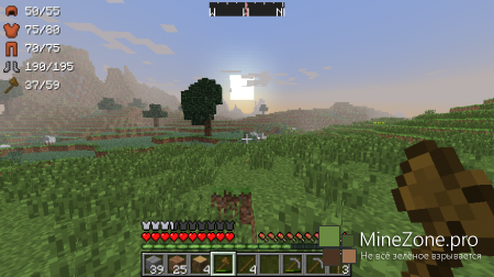 [1.6.2]ArmorStatusHud