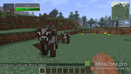 [1.6.2] Клиент для комфортной игры