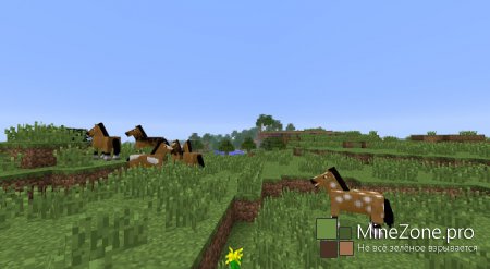 [1.6.2] Minecraft Seeds