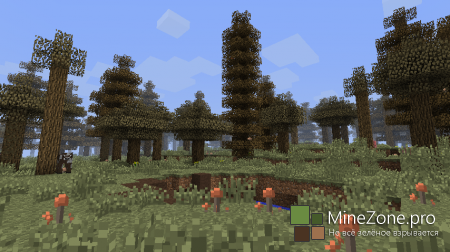 [1.6.2] [FORGE] BIOMES O' PLENTY