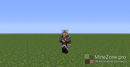 17 Скинов от Ассасинов