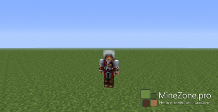 17 Скинов от Ассасинов