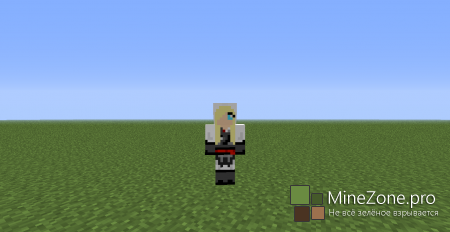 17 Скинов от Ассасинов