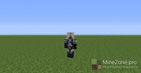 17 Скинов от Ассасинов