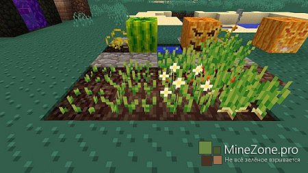 [1.6.2]WonderBit Pack[16x]