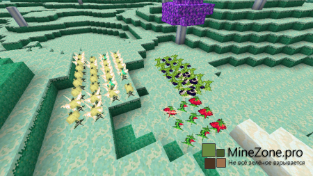 [1.6.4]The Ether v2.9.6