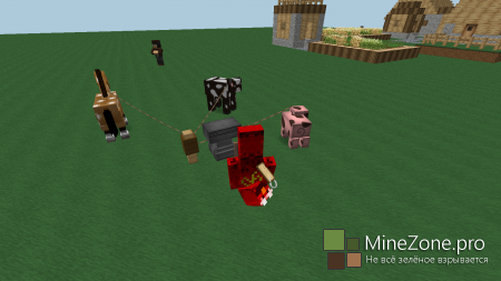 Загадка разгадана!