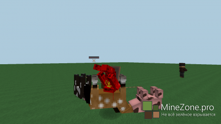 Загадка разгадана!