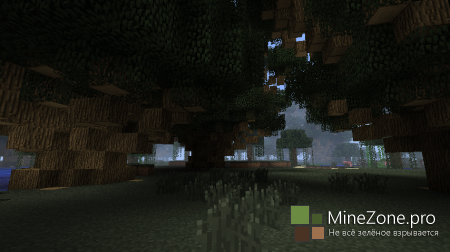 [1.6.2] BIG Trees!