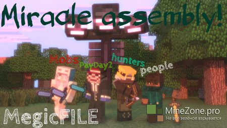 [Skins]MeGicFILE#2-Exclusive!