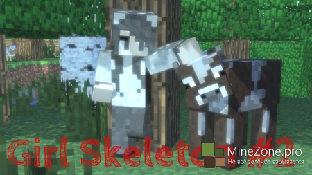 [Skins]MeGicFILE#2-Exclusive!