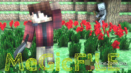 [Skins]MeGicFILE#2-Exclusive!