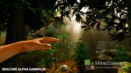 The Forest Trailer 2