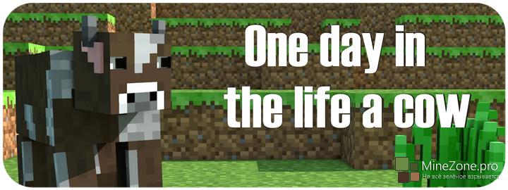 [Video] Один день из жизни коровы