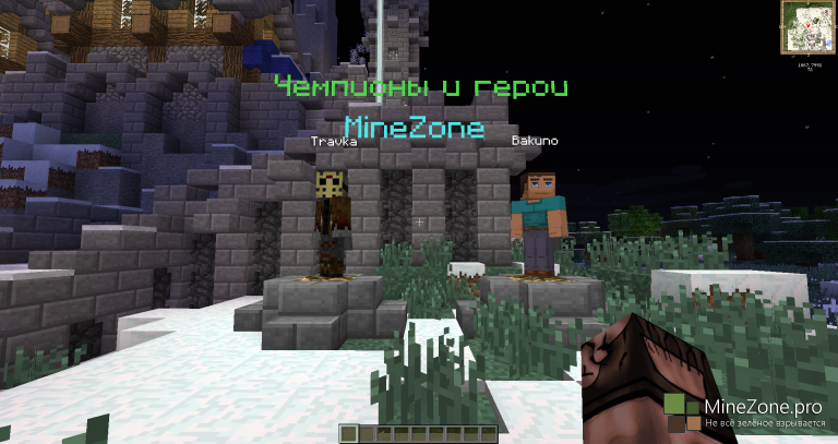 Чемпионы MineZone