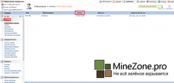Хостинг Minecraft : Возможности личного кабинета