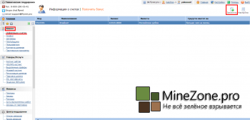 Хостинг Minecraft : Возможности личного кабинета