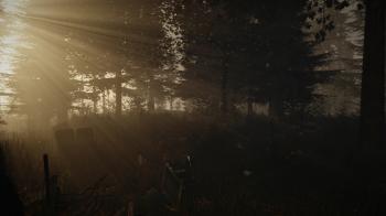 The Forest - трейлер #3, новые скриншоты и дата раннего доступа