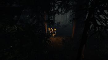 The Forest - трейлер #3, новые скриншоты и дата раннего доступа