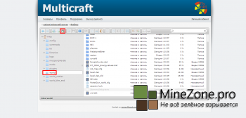 Хостинг Minecraft : Установка собственной карты