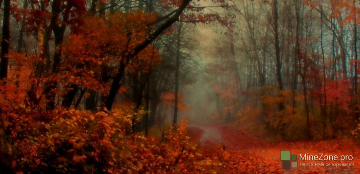 Пак фонов для профиля