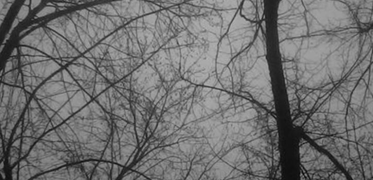 Фоны для профиля