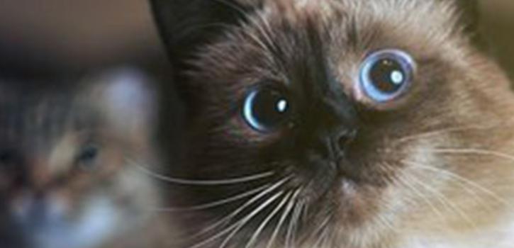 Фоны для профиля