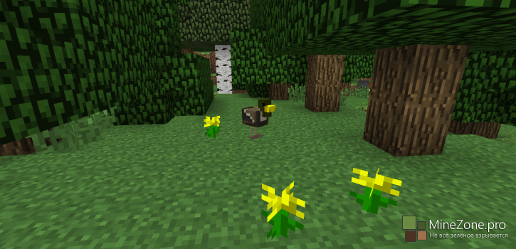[1.7.2] [16x] Ducks For Chickens