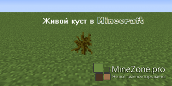 [Гайд] Секретный куст в Minecraft - получение