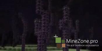 [1.9] Информация с MineCon