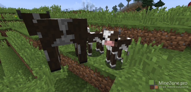 [Mods] Mods Mods Mods