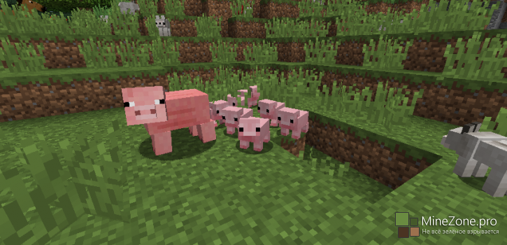 [Mods] Mods Mods Mods