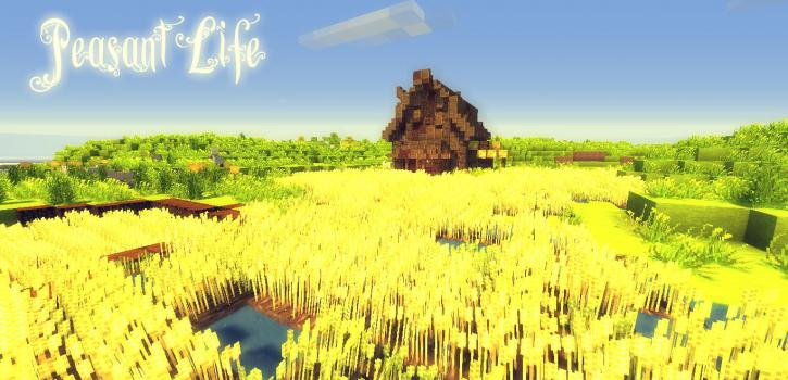 [1.9] [32x] SummerFields