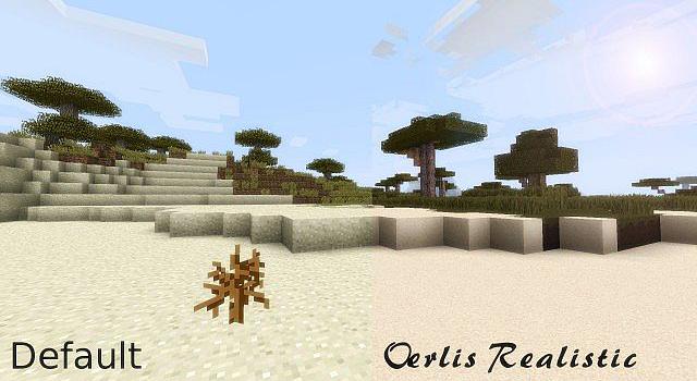 [128x/256x] Oerlis Realistic Photo Pro Resource Pack