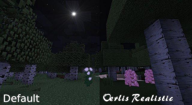 [128x/256x] Oerlis Realistic Photo Pro Resource Pack