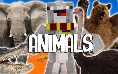 [1.9+] Mo’ Creatures Command Block