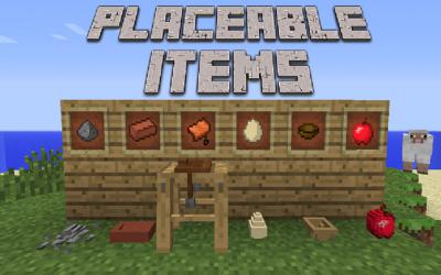 Placeable Items