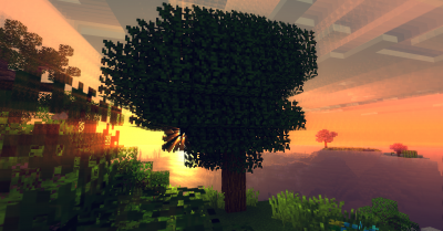 Ancient Trees Mod